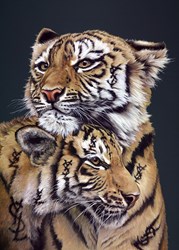 Young Sweet Love by Hayley Goodhead - Limited Edition Box Canvas sized 20x28 inches. Available from Whitewall Galleries